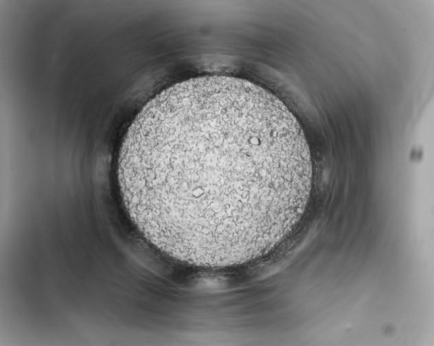 X0000101950263200808151259
