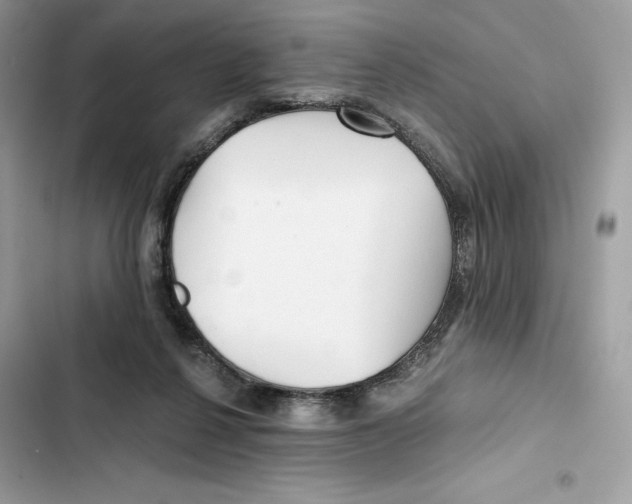 X0000101950264200808151259