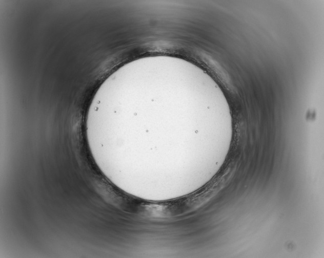 X0000101950265200808151259