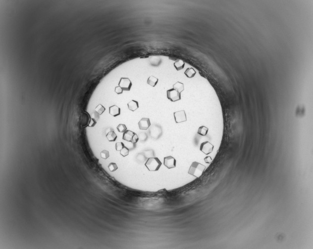 X0000101950266200808151259