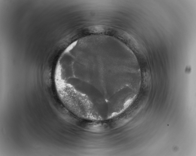 X0000101950267200808151259