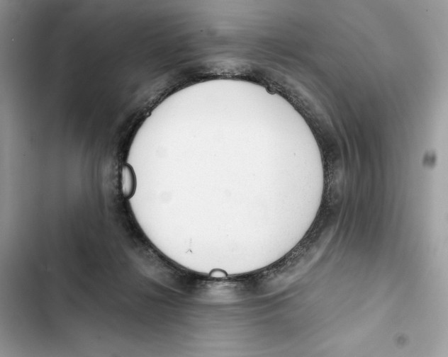 X0000101950268200808151259