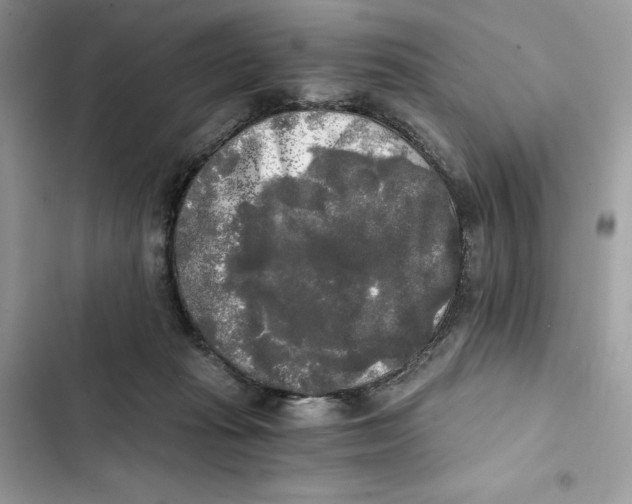 X0000101950269200808151259