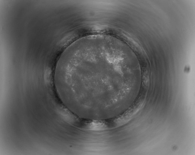 X0000101950270200808151259