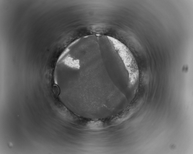 X0000101950271200808151259