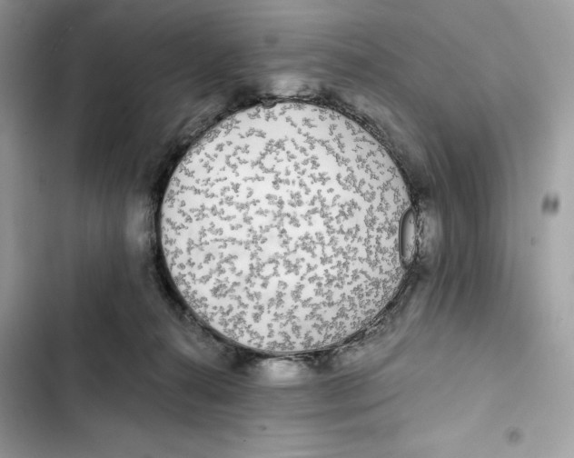 X0000101950272200808151259