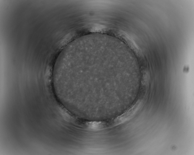 X0000101950273200808151259