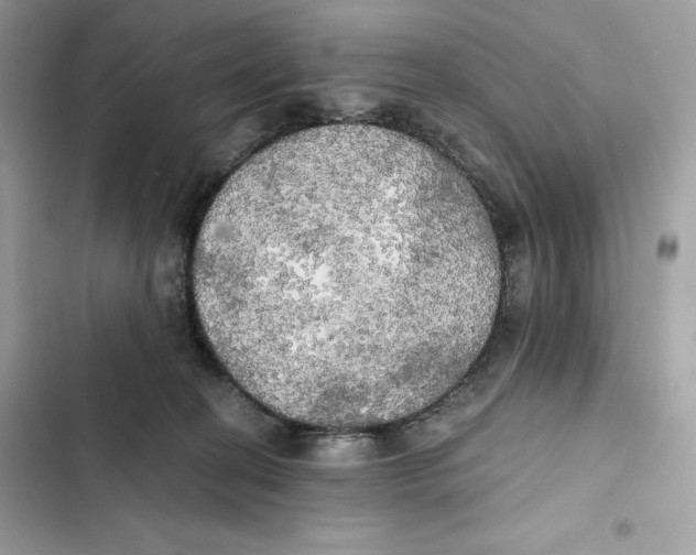 X0000101950274200808151259