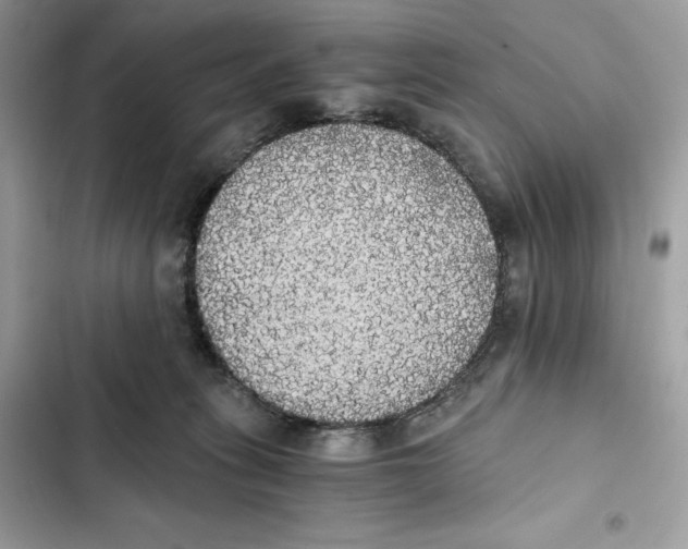 X0000101950275200808151259