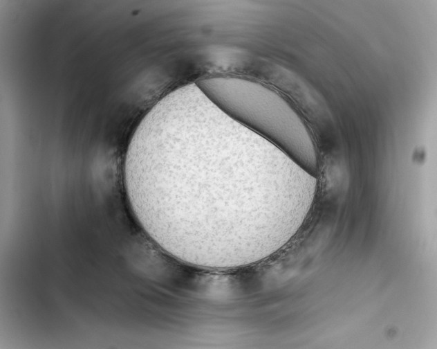 X0000101950276200808151259