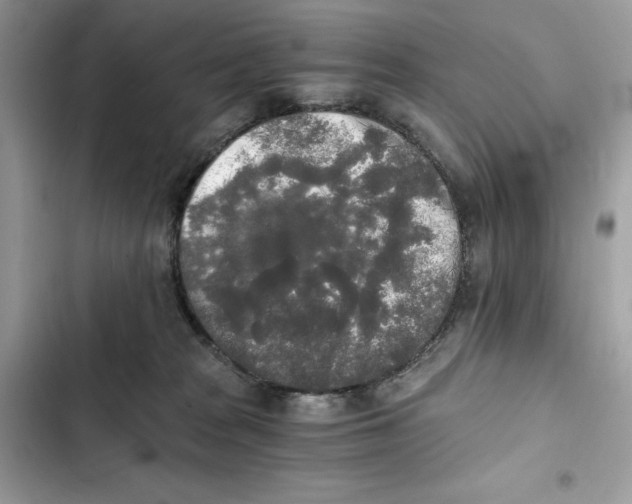 X0000101950277200808151259