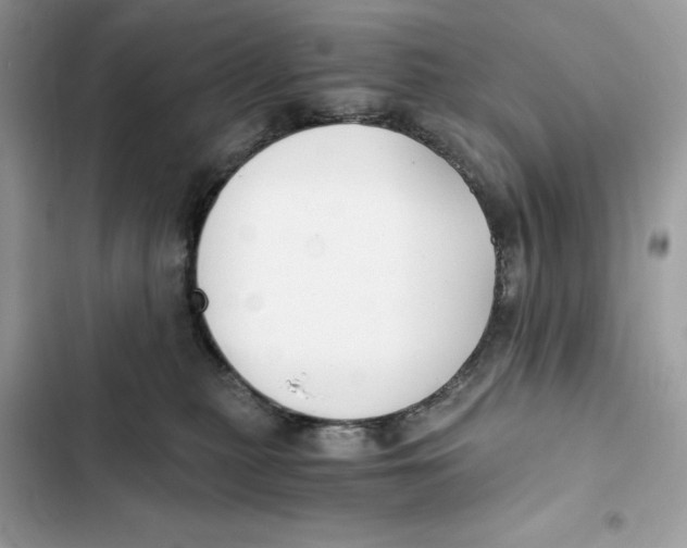 X0000101950279200808151259