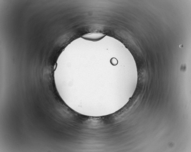 X0000101950280200808151259
