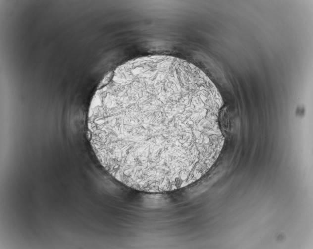 X0000101950281200808151259