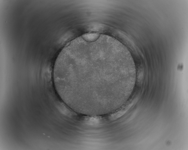 X0000101950282200808151259