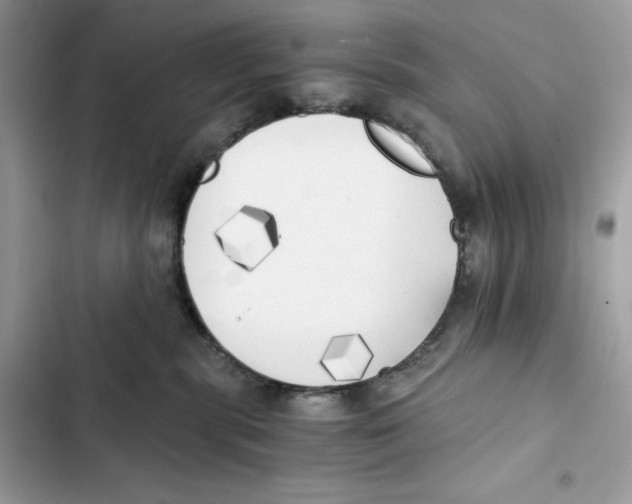 X0000101950283200808151259