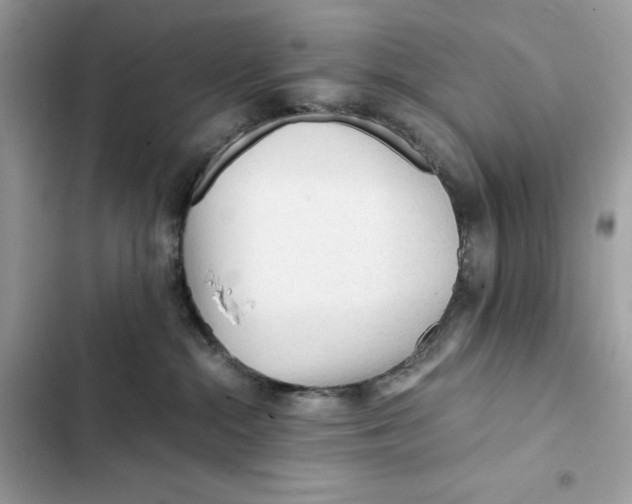 X0000101950284200808151259