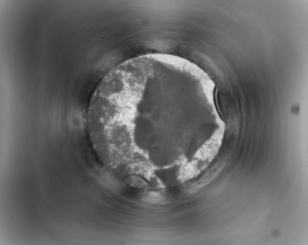 X0000101950285200808151259