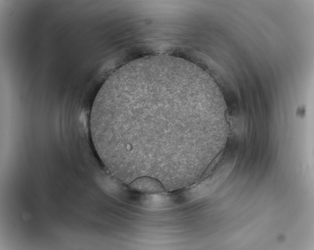 X0000101950286200808151259