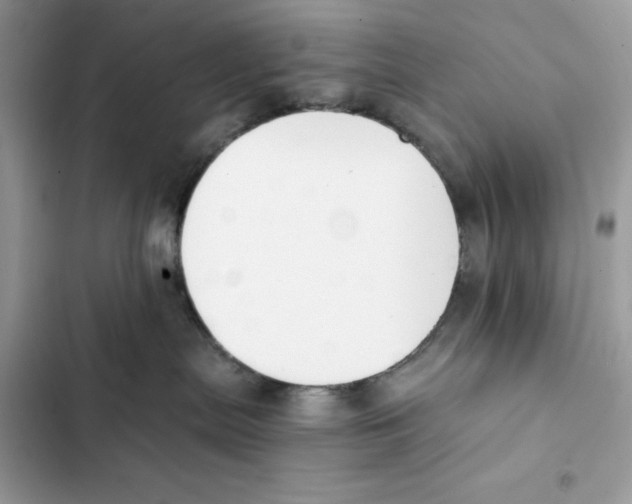 X0000101950287200808151259