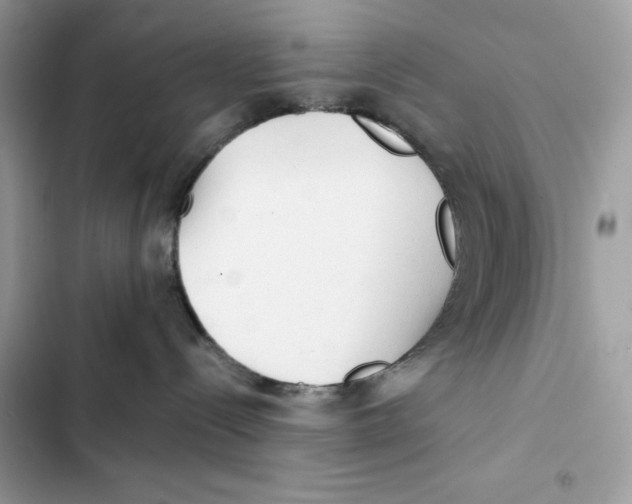 X0000101950288200808151259