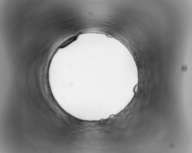 X0000101950289200808151259