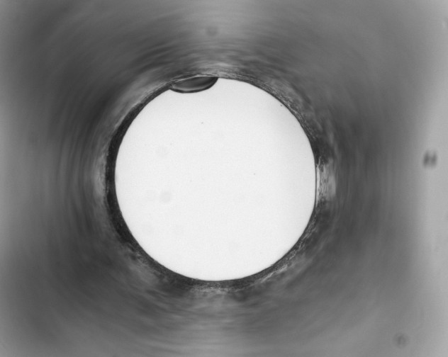 X0000101950291200808151259