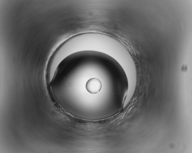 X0000101950292200808151259