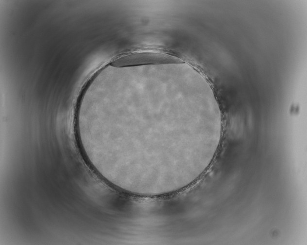 X0000101950293200808151259
