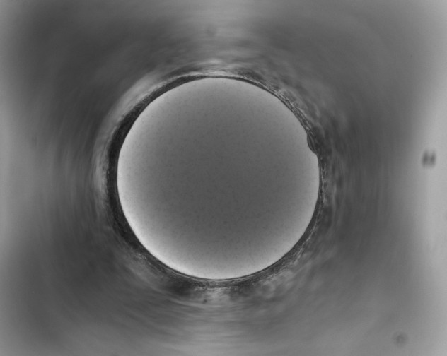 X0000101950295200808151259