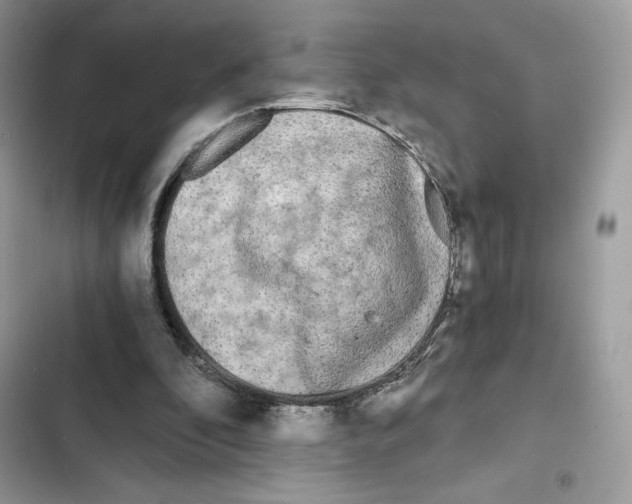 X0000101950296200808151259