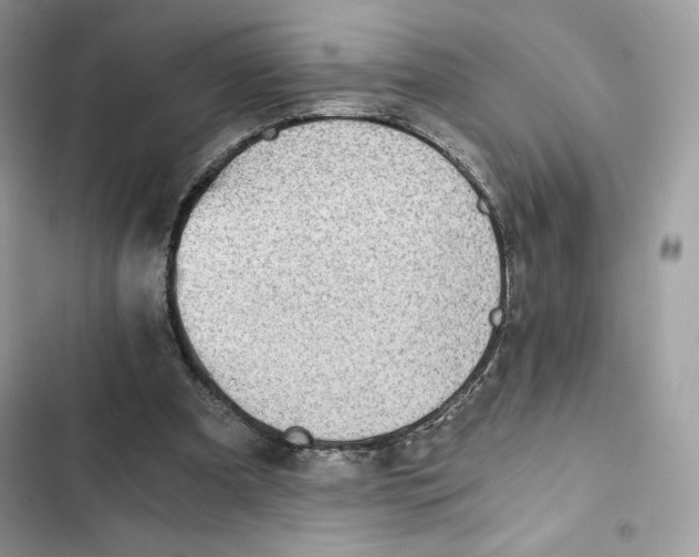 X0000101950297200808151259