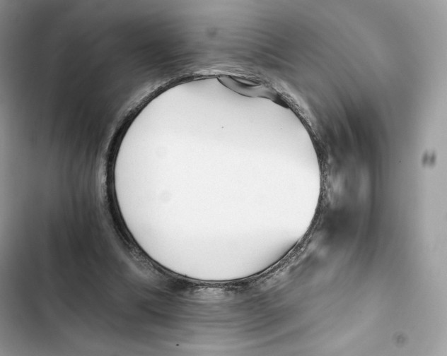 X0000101950298200808151259