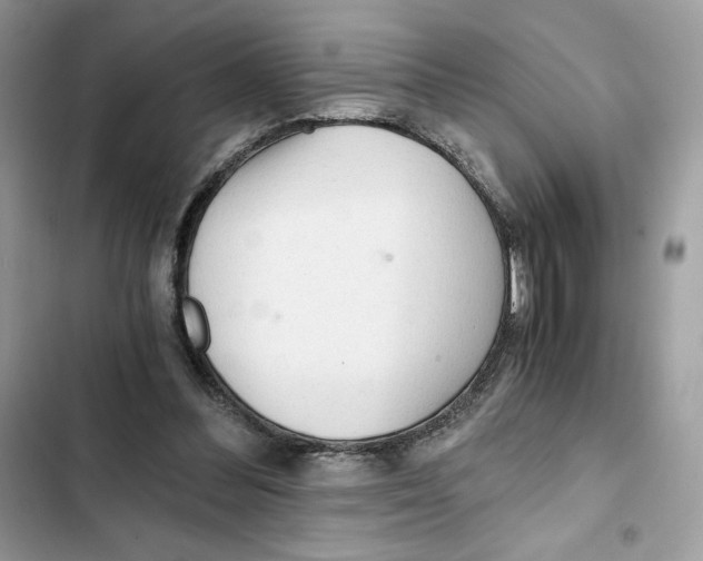 X0000101950300200808151259