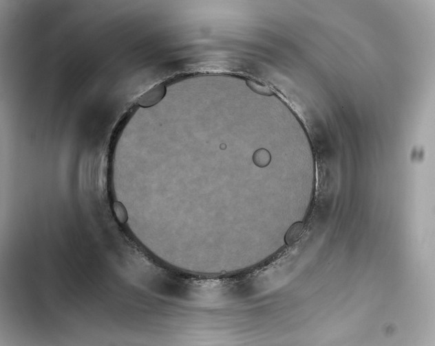 X0000101950301200808151259