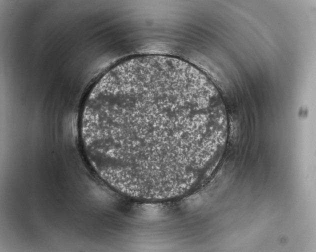 X0000101950302200808151259