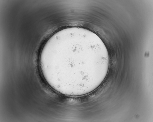 X0000101950303200808151259