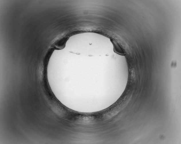 X0000101950304200808151259