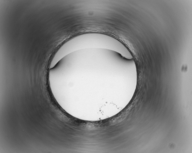 X0000101950305200808151259