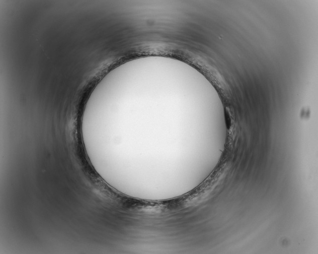 X0000101950306200808151259