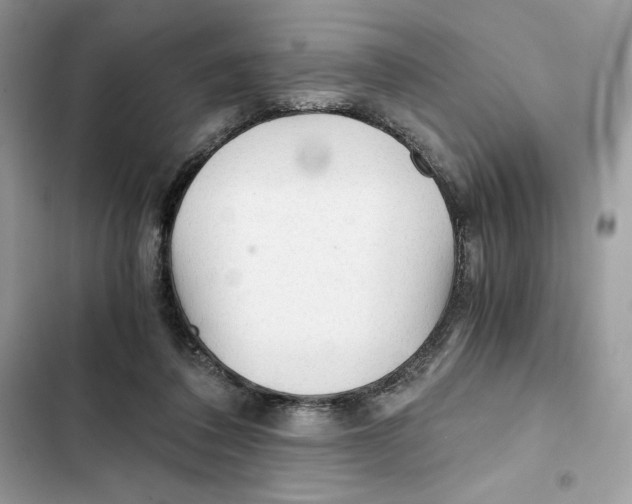 X0000101950308200808151259
