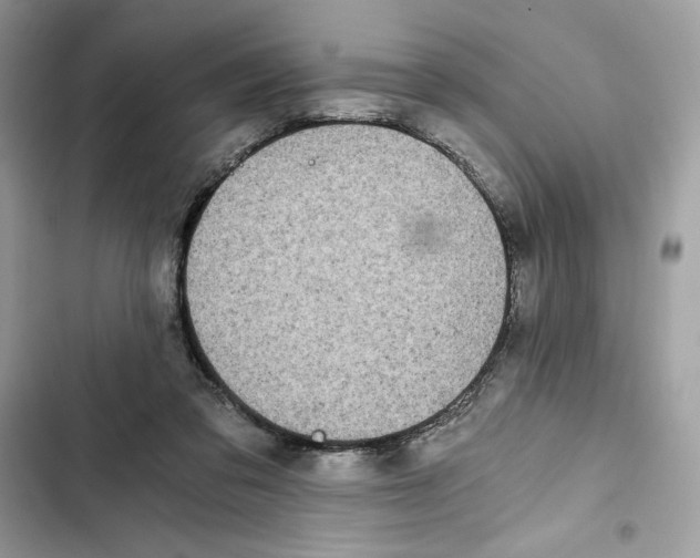 X0000101950309200808151259
