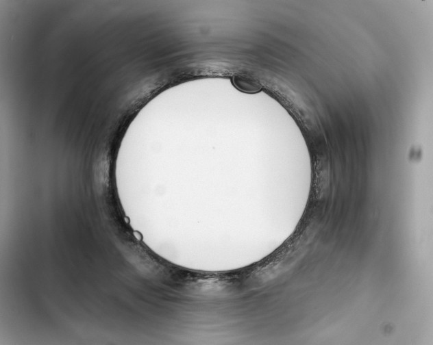 X0000101950310200808151259