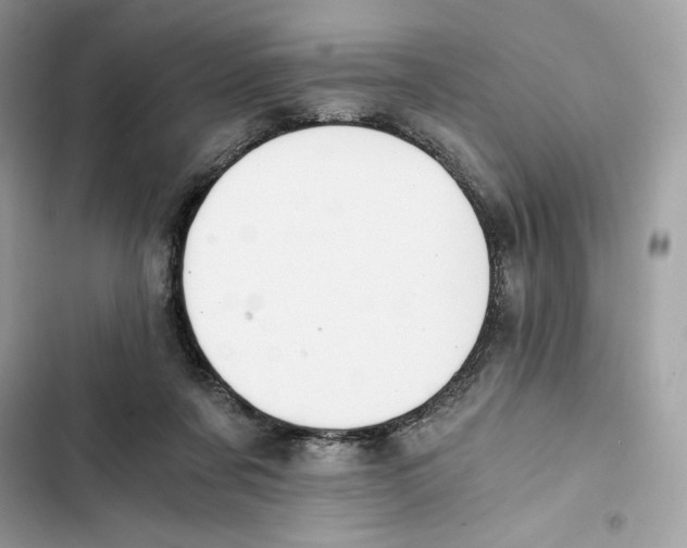 X0000101950311200808151259