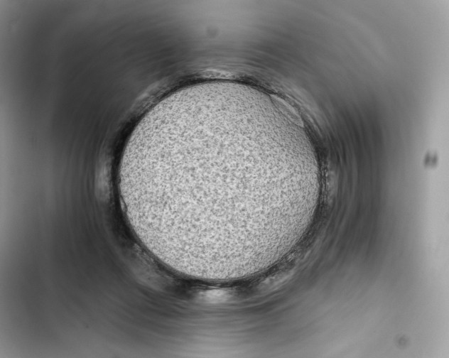 X0000101950312200808151259
