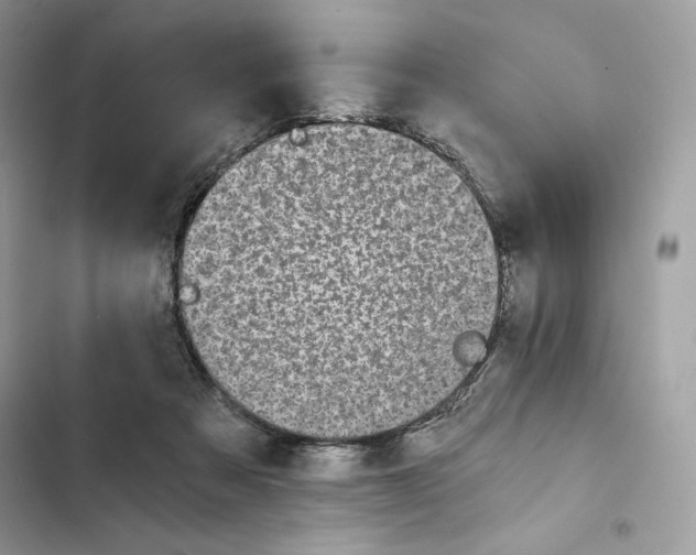 X0000101950313200808151259
