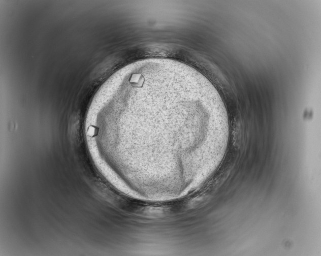 X0000101950314200808151258