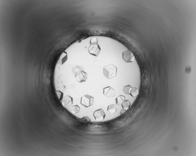 X0000101950315200808151258