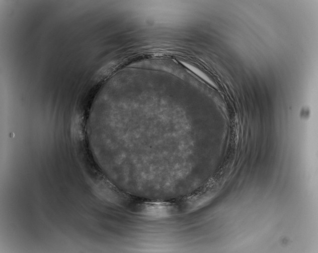 X0000101950316200808151258