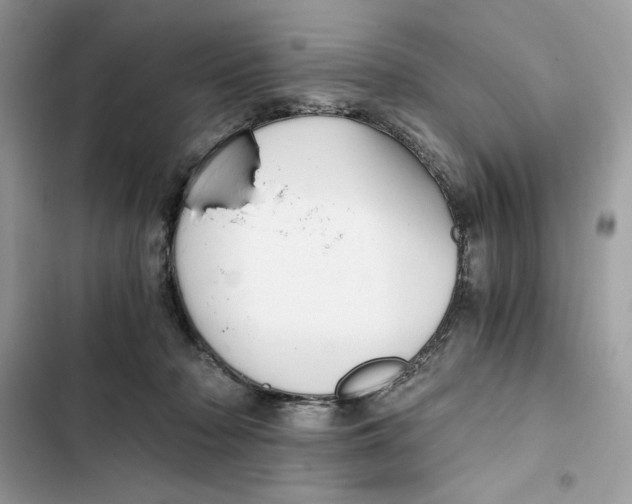 X0000101950318200808151258